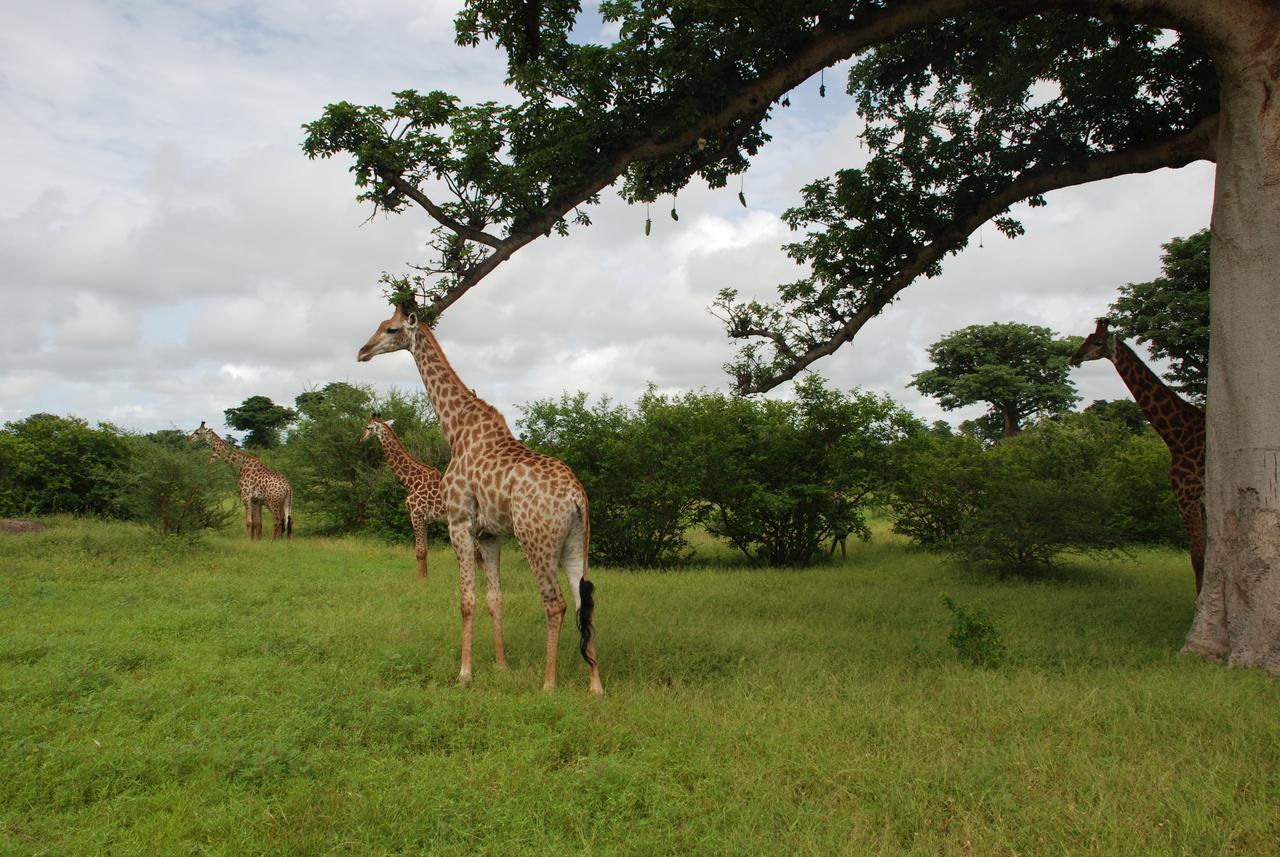 Safari Village Saly Экстерьер фото